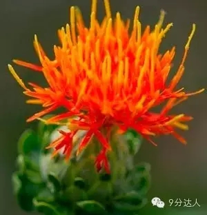 雅思聽(tīng)力考試素材
